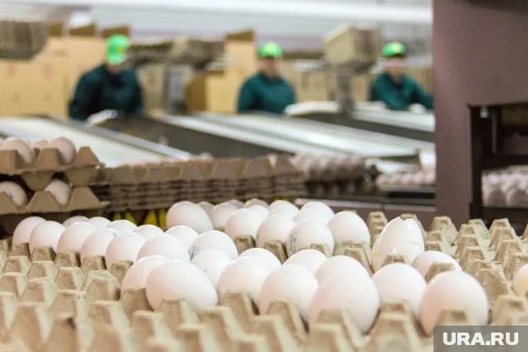 До конца этой недели придет первая поставка яиц из Азербайджана