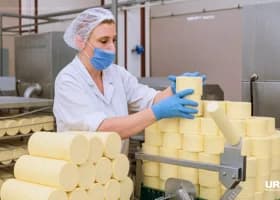 День пищевика 19 октября 2025: поздравления, открытки и редкие факты о еде