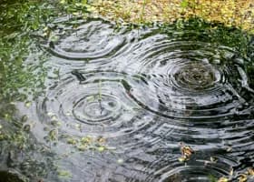 Какую погоду обещают на выходные в Тюмени 