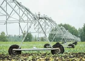 Фотография из галереи