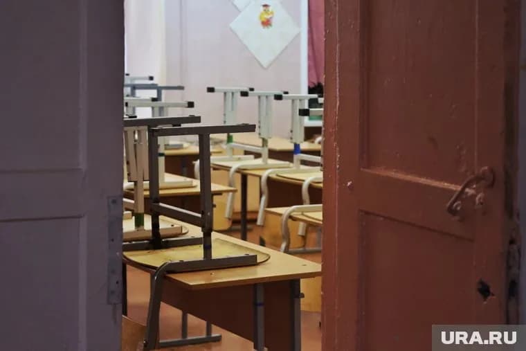 Занятия отменили у младшеклассников Лебяжьевского округа
