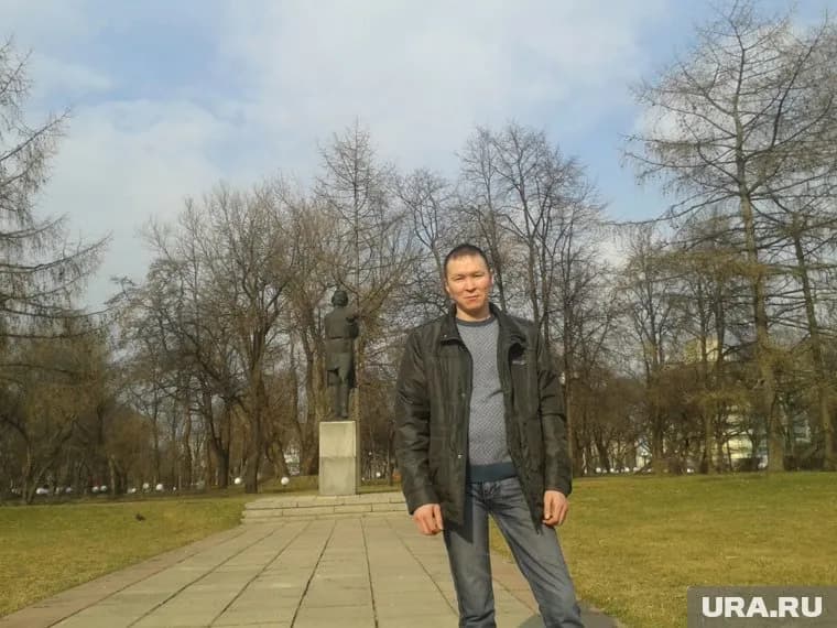 Виновником ДТП, где погибли лошади, стал сотрудник местной администрации