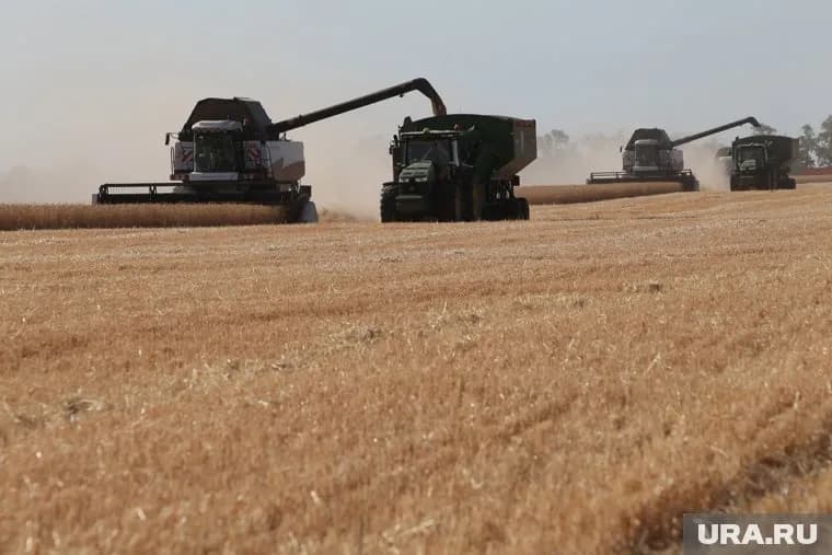 Россия продолжит оказывать помощь голодающим странам, подчеркнули