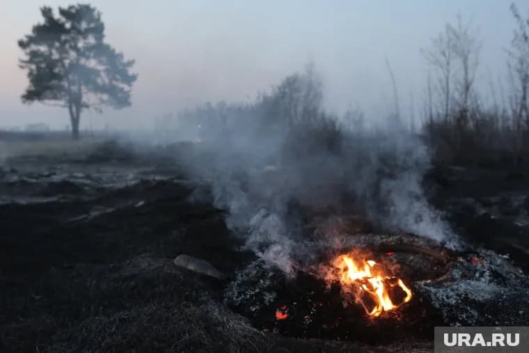 Школьник затаптывал огонь, в результате он получил термические ожоги голени