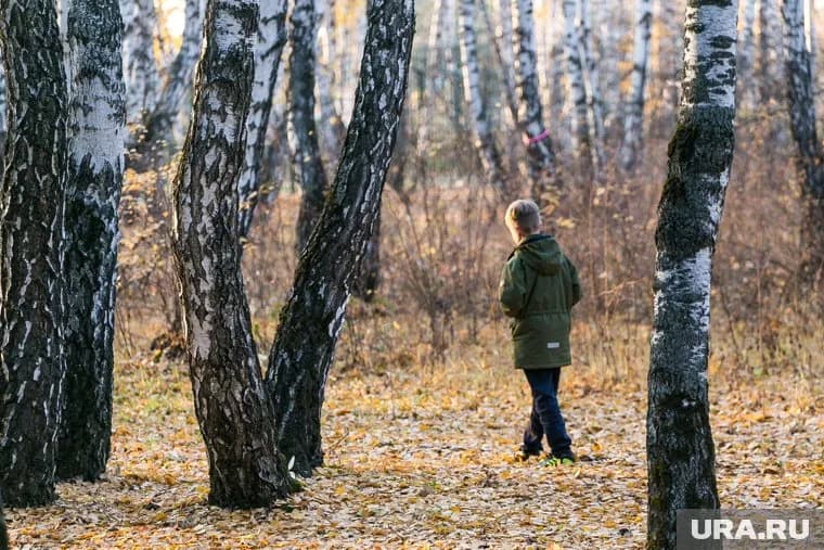 Ребенок мог уйти в лес или к карьеру (архивное фото)