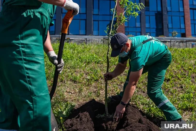 Участники проекта «Другое Дело» заботятся об экологии, помогают людям и животным