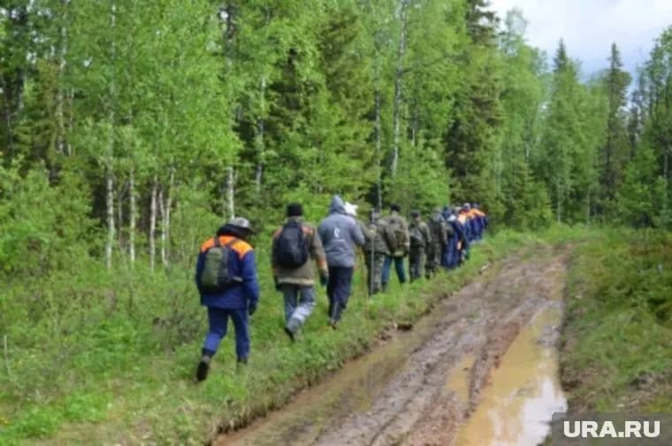 В поисках участвуют уже 50 человек