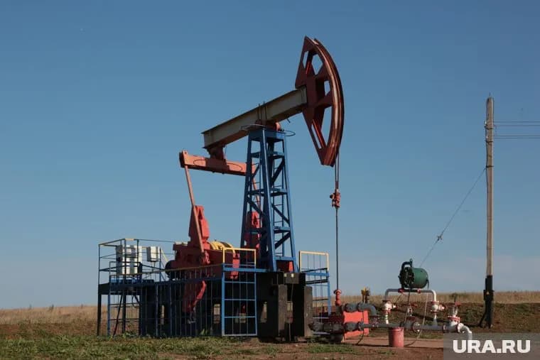 Пермские ученые создали виртуальную лабораторию для исследования нефтяных скважин
