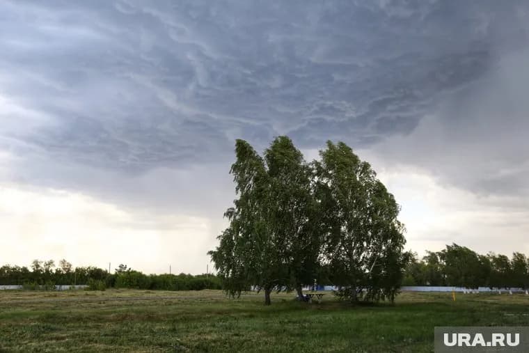 В ближайшие дни на Урале будет дуть ветер и идти дождь