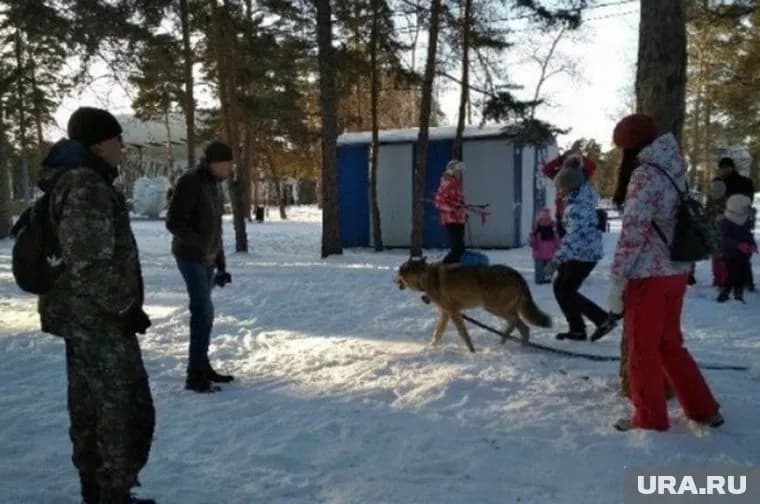 Хозяин хищного зверя уверяет, что гуляет с ним «не для потешания своего самолюбия»