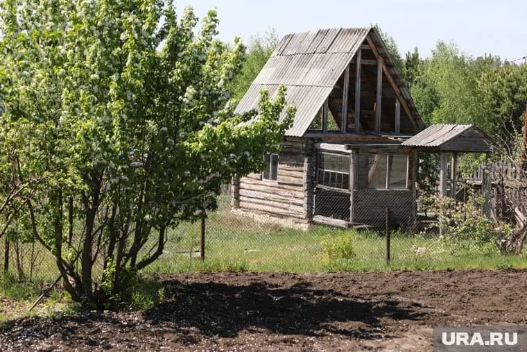 В ЛДПР предложили новую меру поддержки семей с детьми