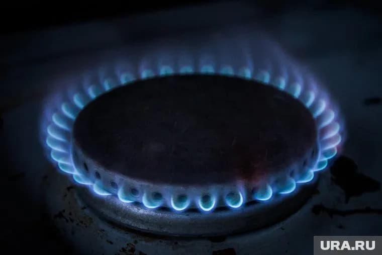 Украинский депутат раскритиковал решение Киева об отключении газа у должников