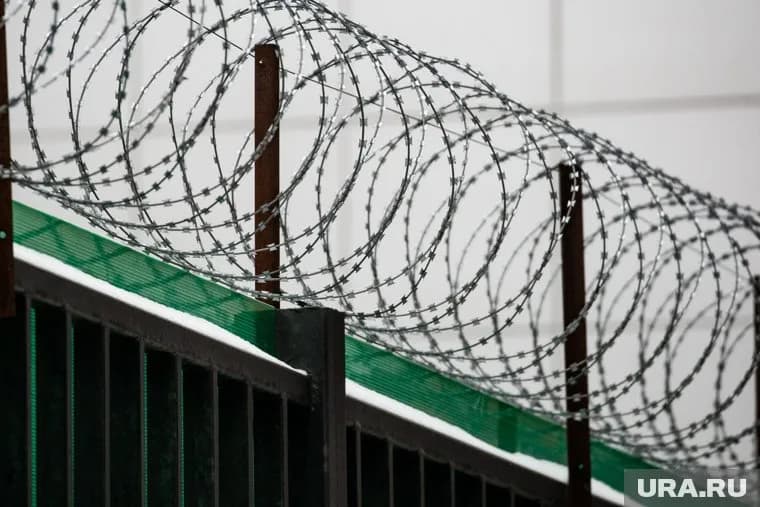 Суд назначил Илье Пономареву наказание в виде 10 лет лишения свободы