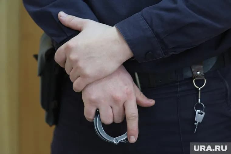 Курганскому полицейскому грозит отставка