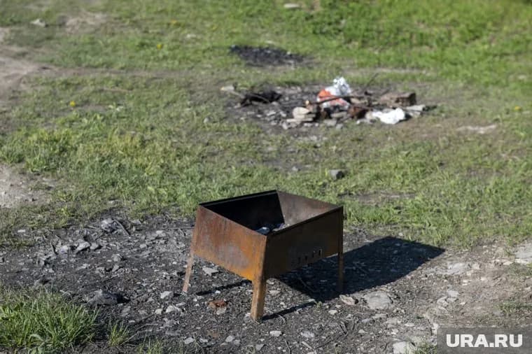 Причиной пожара стал мангал