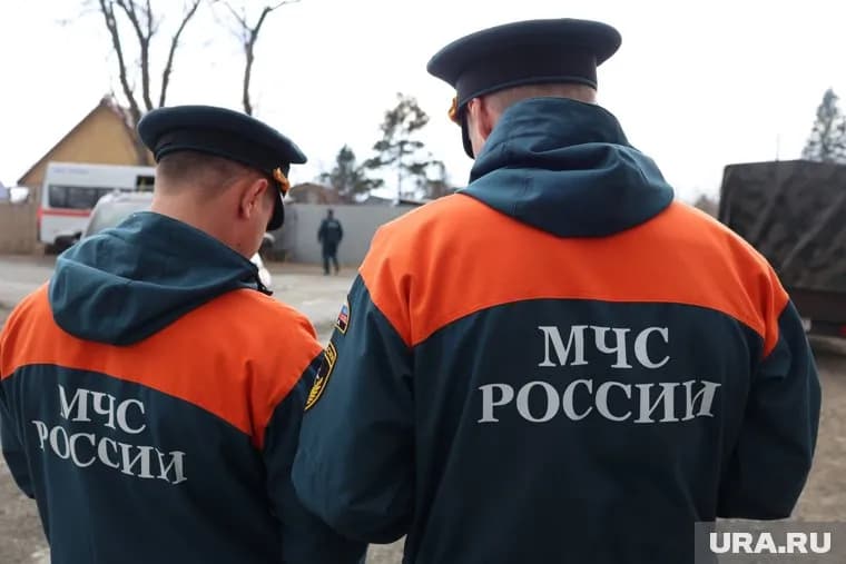 Силовики за сутки провели 58 рейдов