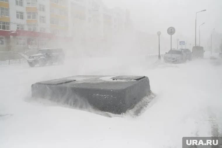 Для большинства районов Ямала неделя началась с мороза, метелей и плохой видимости