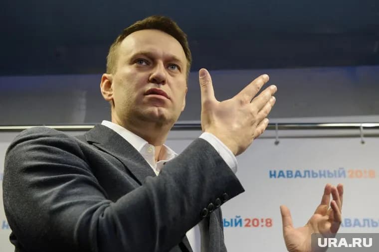 В Совфеде призвали искать истину в ситуации вокруг Алексея Навального