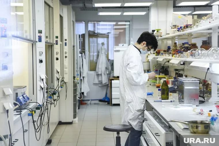 Ученые УрФУ разработают продукты, которые будут выполнять в организме функцию защиты или лечения