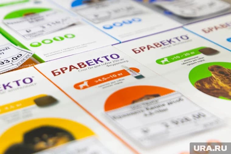 Пик заболеваемости ОРВИ в Прикамье пришелся на середину сентября