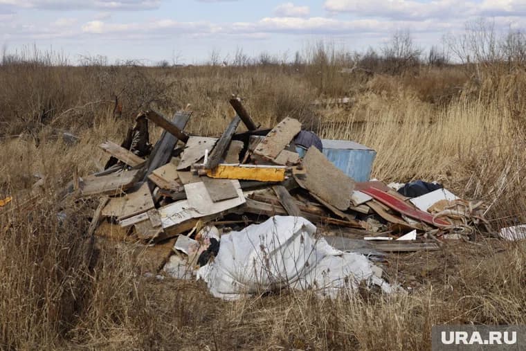 К 2030 году планируют увеличить площадь очищенных территорий до 86,7 гектаров