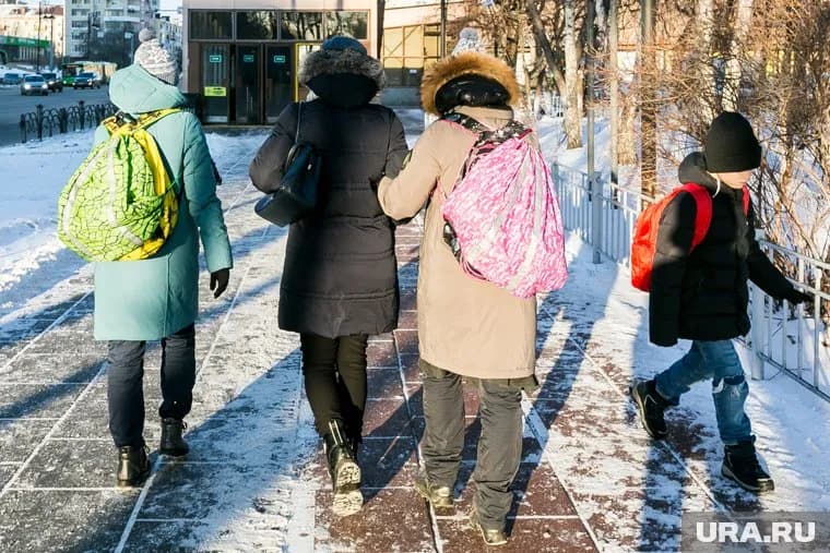 Мороженое появится в меню школьных столовых 17 мая