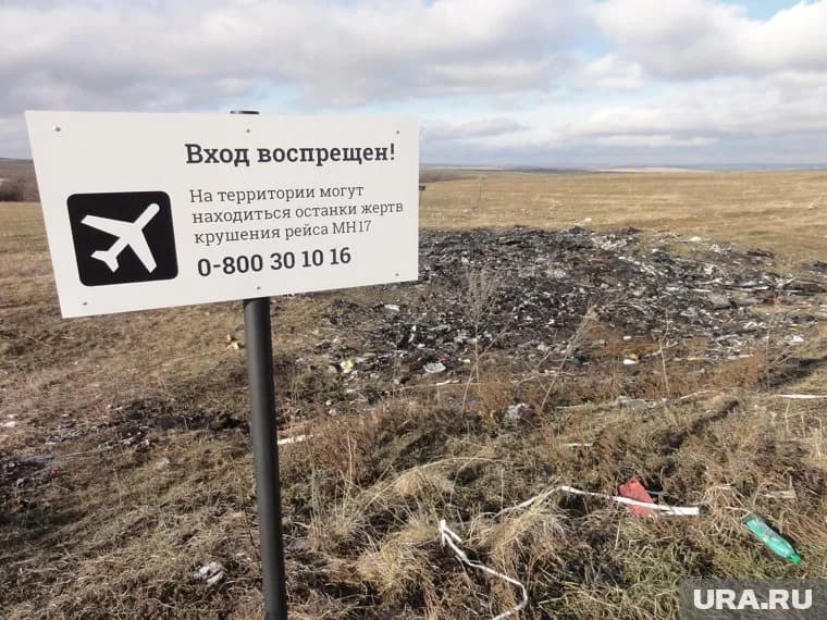 Дело о крушении малайзийского «Боинга» объединили с другим иском по отношению к России