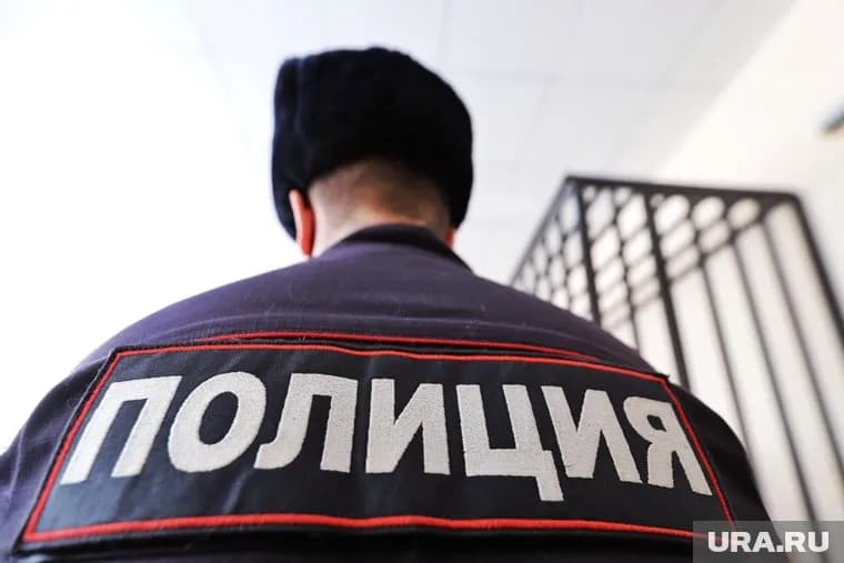 Женщина напала на полицейского после того, как органы опеки забрали у нее детей (архивное фото)