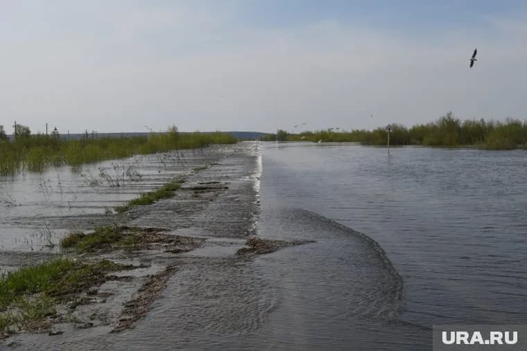Ограничения действуют в Вагайском, Тобольском и Уватском районах