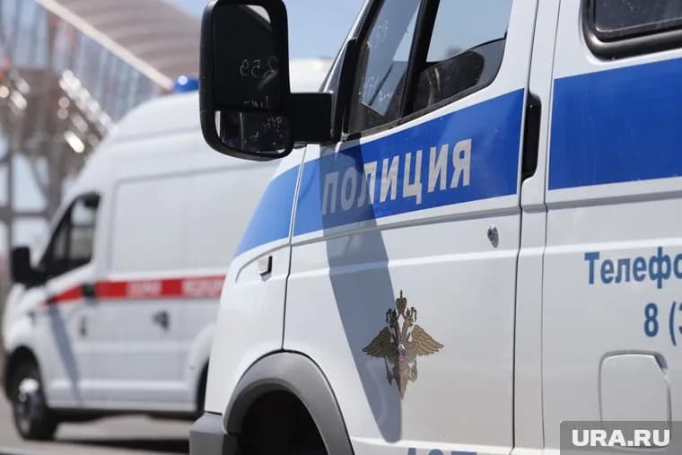 Правоохранительные органы проводят необходимую проверку по факту ДТП