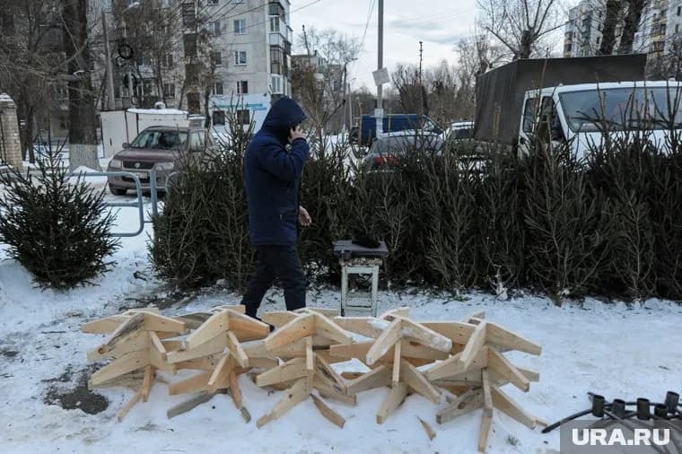 В Кургане скоро откроются елочные базары