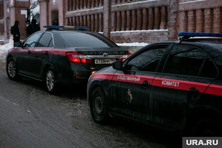 Все участники конфликта, из-за которого СК возбудил уголовное дело — учащиеся 5 класса