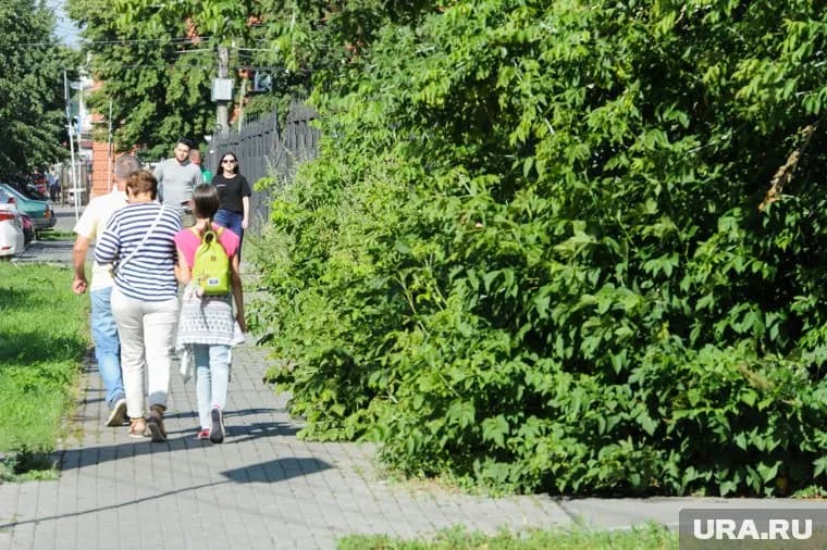 Богомолы проявляют чудеса маскировки, мимикрируя под листья