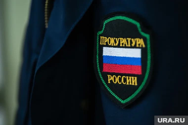 Девушке назначили 10 месяцев исправительных работ с удержанием 5 % из заработной платы