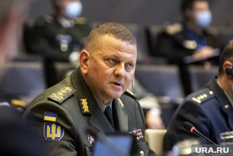 Валерий Залужный рискует стать фигурантом дела о госизмене и военной халатности