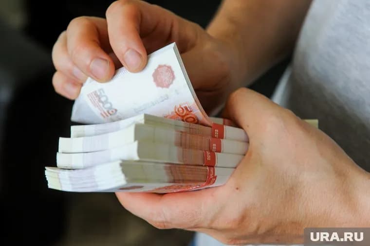 Тимур Максимов курировал в Минфине вопросы госдолга