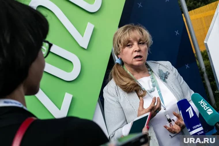 Элла Памфилова не встретилась с президентом