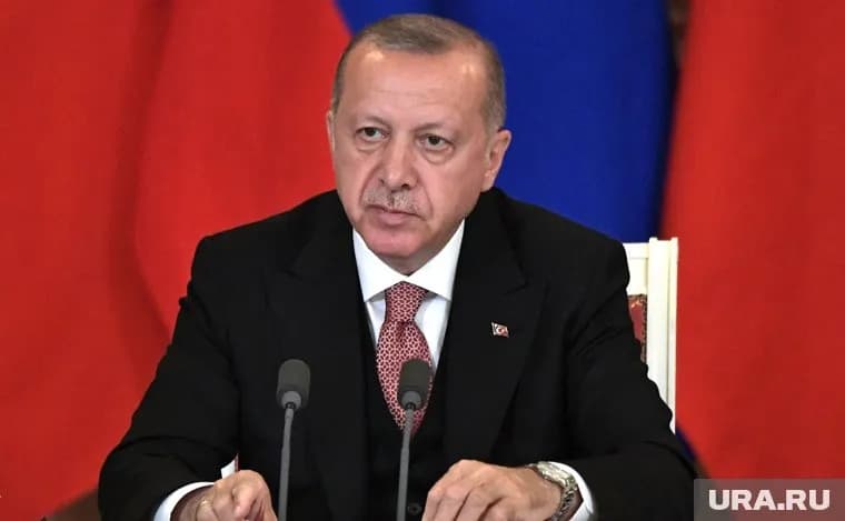 Благодаря соглашению с президентом России появилась возможность бесплатных поставок зерна нуждающимся странам, заявил Эрдоган