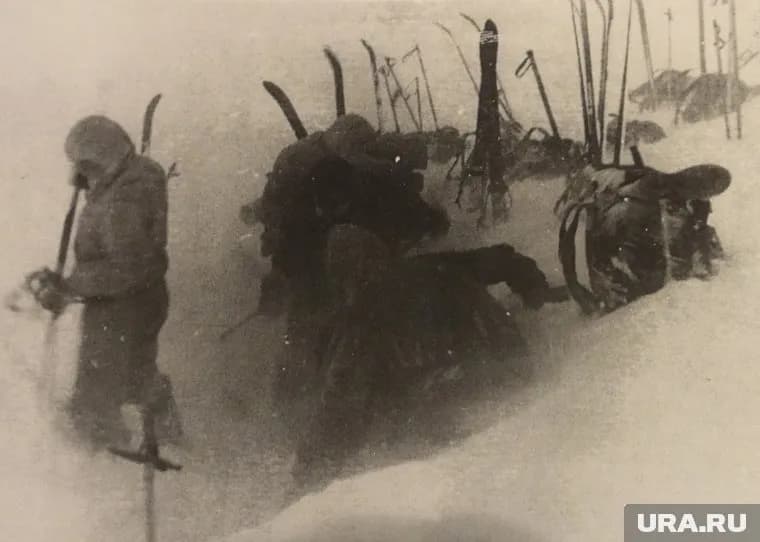Чтобы понять это, надо «Мыслить как преступник»