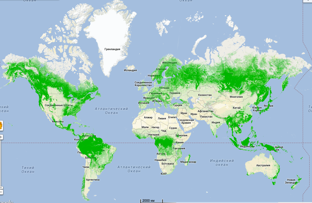 Карта стран где был. Вырубка лесов в мире карта.