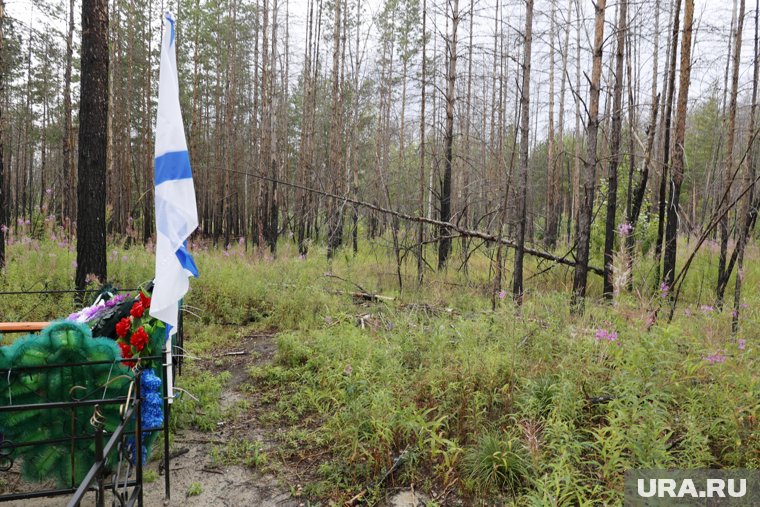 Комиссия выехала с проверкой на стихийное кладбище под Курганом. Видео