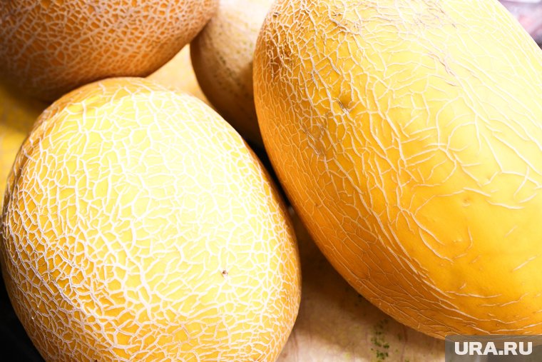 Жителей ХМАО предупредили о ядовитых дынях