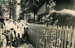 Завершение вековой истории: Пермский зоопарк навсегда закрывает свои двери. Фотогалерея