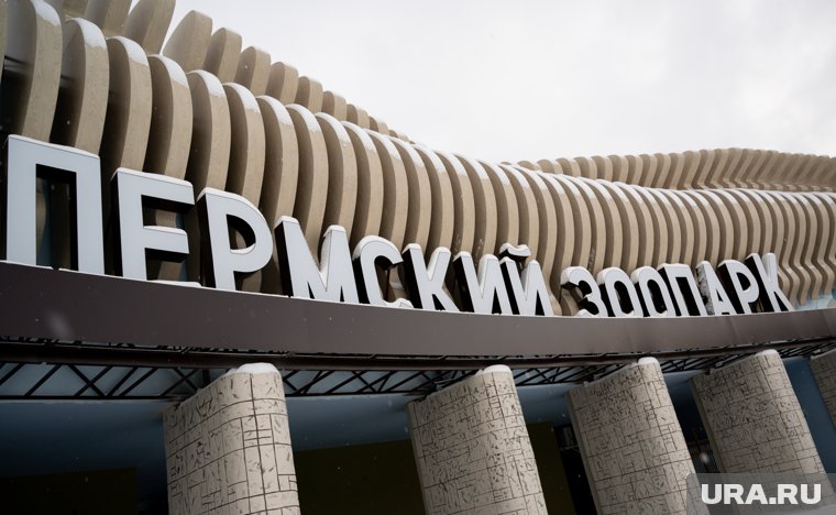 Карта нового Пермского зоопарка стала доступна Сети. Скрин