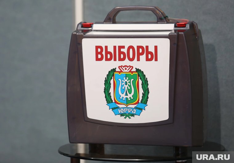 В ХМАО подвели итоги местных выборов. Инфографика