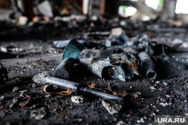 В Петербурге нашли мертвой экс-невестку актрисы Марии Шукшиной: кто такая Фрейя Зильбер