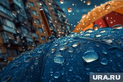 Продолжатся ли тропические дожди: прогноз в Москве и Петербурге на 5-10 августа