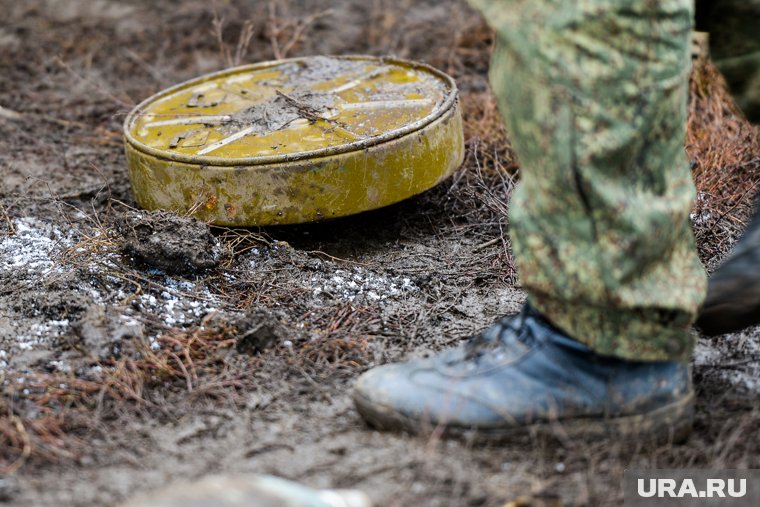 Военкор Первого канала Анна Прокофьева погибла, подорвавшись на мине: главное об СВО 26 марта