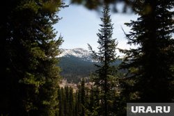 «Я прямо предвкушаю»: стало известно, как семья Усольцевых собиралась в роковой поход в «место силы»