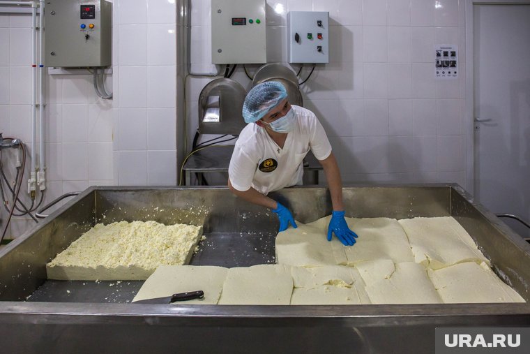 Россия хочет отказаться от поставок из Европы важного ингредиента для сыров